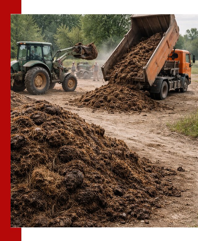 Доставка навоза самосвалами в Апшеронске для сельхозпотребностей