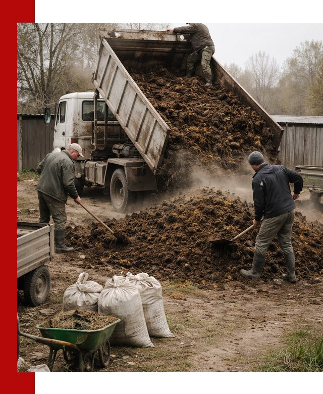 Доставка коровьего навоза самосвалом в Апшеронске